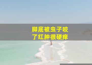 脚底被虫子咬了红肿很硬痒