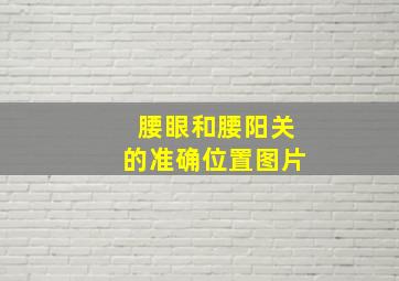 腰眼和腰阳关的准确位置图片