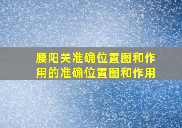 腰阳关准确位置图和作用的准确位置图和作用