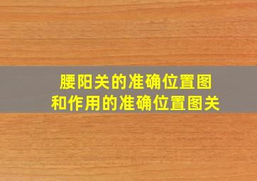 腰阳关的准确位置图和作用的准确位置图关