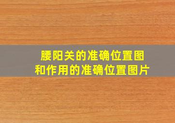 腰阳关的准确位置图和作用的准确位置图片