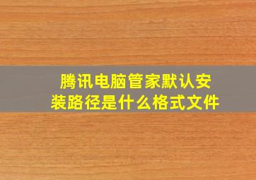 腾讯电脑管家默认安装路径是什么格式文件