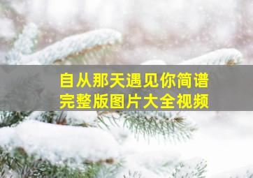 自从那天遇见你简谱完整版图片大全视频