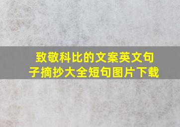 致敬科比的文案英文句子摘抄大全短句图片下载