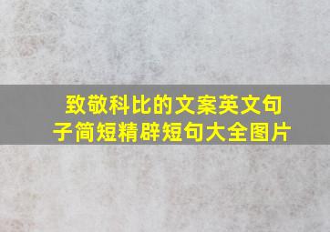 致敬科比的文案英文句子简短精辟短句大全图片