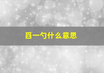 舀一勺什么意思