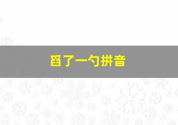 舀了一勺拼音