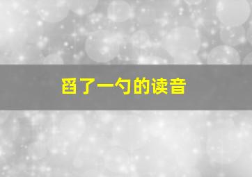 舀了一勺的读音