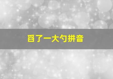 舀了一大勺拼音