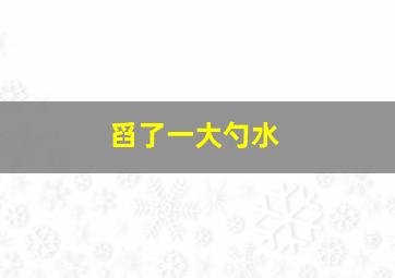 舀了一大勺水