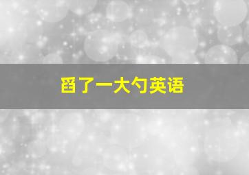 舀了一大勺英语