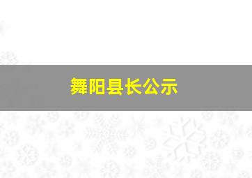 舞阳县长公示