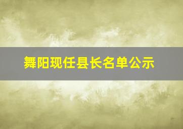 舞阳现任县长名单公示