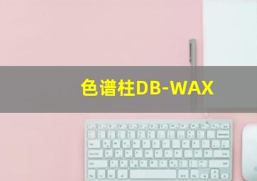 色谱柱DB-WAX