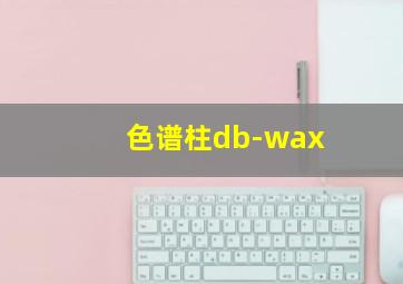 色谱柱db-wax