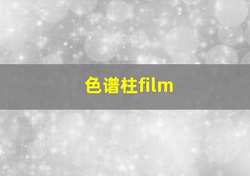 色谱柱film