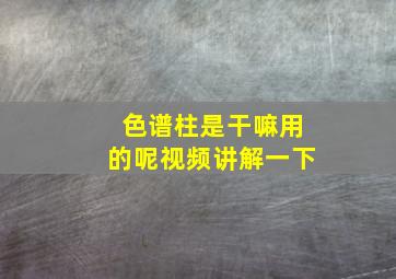 色谱柱是干嘛用的呢视频讲解一下