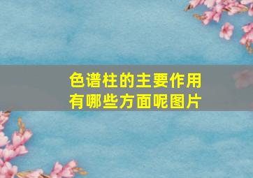 色谱柱的主要作用有哪些方面呢图片