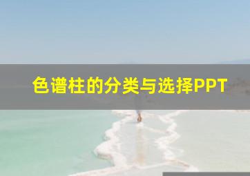 色谱柱的分类与选择PPT