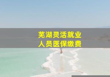 芜湖灵活就业人员医保缴费