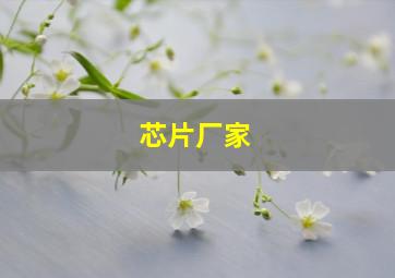 芯片厂家