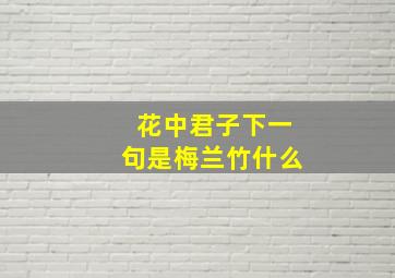 花中君子下一句是梅兰竹什么