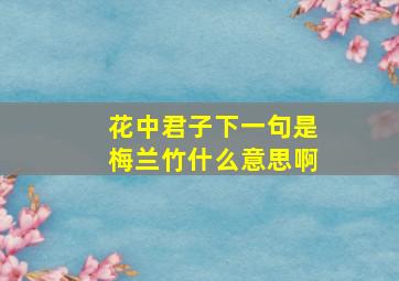 花中君子下一句是梅兰竹什么意思啊