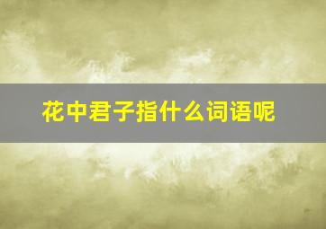 花中君子指什么词语呢