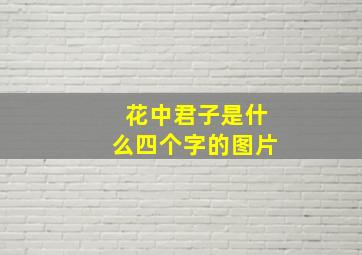 花中君子是什么四个字的图片