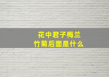 花中君子梅兰竹菊后面是什么