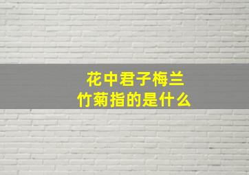 花中君子梅兰竹菊指的是什么