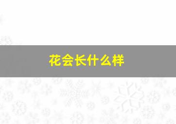 花会长什么样