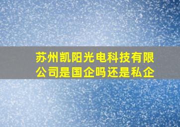 苏州凯阳光电科技有限公司是国企吗还是私企