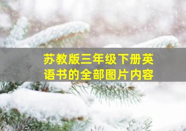 苏教版三年级下册英语书的全部图片内容