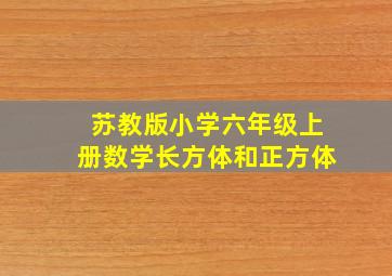 苏教版小学六年级上册数学长方体和正方体