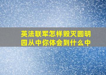 英法联军怎样毁灭圆明园从中你体会到什么中