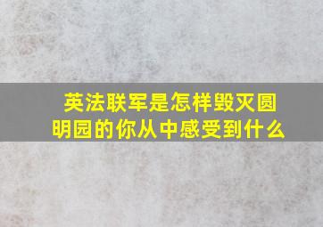 英法联军是怎样毁灭圆明园的你从中感受到什么