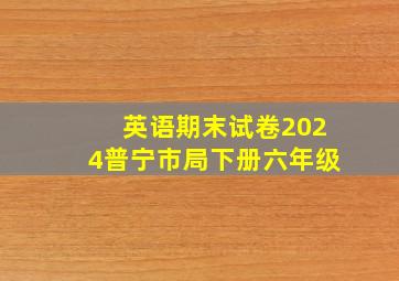 英语期末试卷2024普宁市局下册六年级