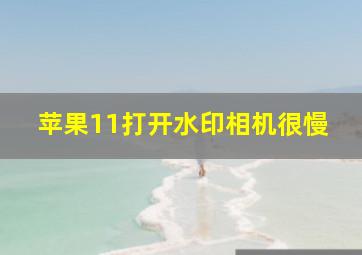 苹果11打开水印相机很慢