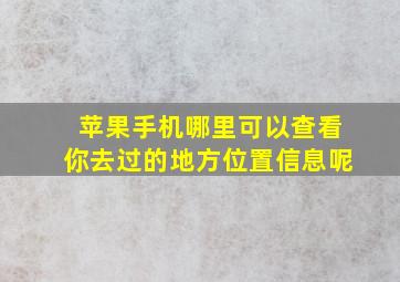 苹果手机哪里可以查看你去过的地方位置信息呢