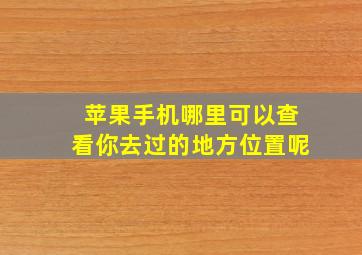 苹果手机哪里可以查看你去过的地方位置呢