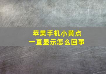 苹果手机小黄点一直显示怎么回事