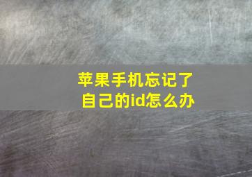 苹果手机忘记了自己的id怎么办