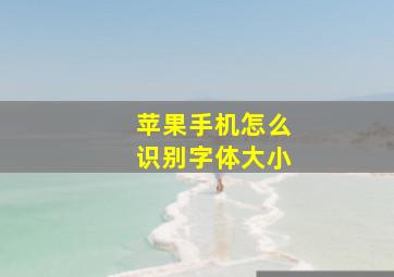 苹果手机怎么识别字体大小