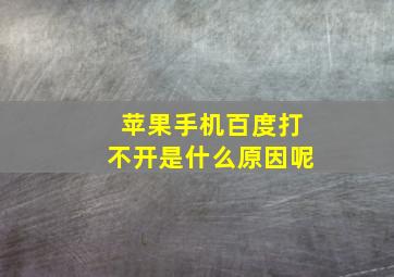 苹果手机百度打不开是什么原因呢