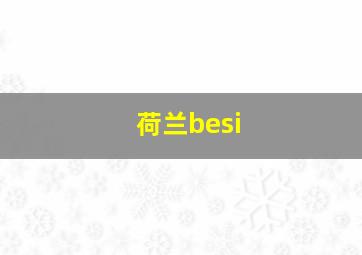 荷兰besi