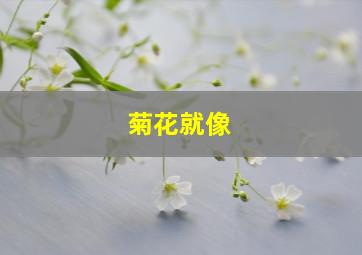 菊花就像