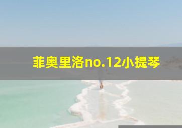 菲奥里洛no.12小提琴