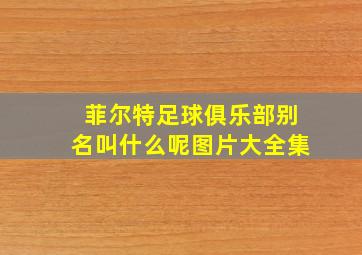 菲尔特足球俱乐部别名叫什么呢图片大全集