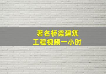 著名桥梁建筑工程视频一小时